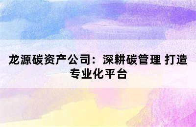 龙源碳资产公司：深耕碳管理 打造专业化平台